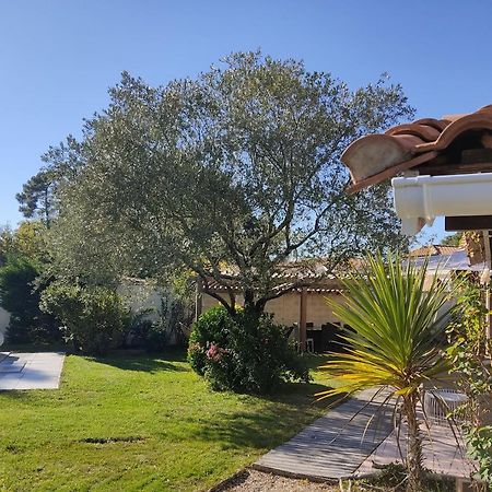 Maison Familiale En Bois Avec Piscine, Proche Du Bassin Gujan-Mestras Exterior foto